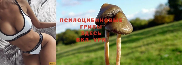 трава Алзамай
