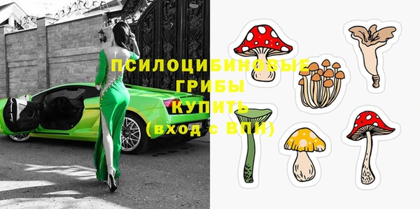 spice Алексин