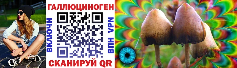 даркнет сайт  Чадан  Галлюциногенные грибы Magic Shrooms 