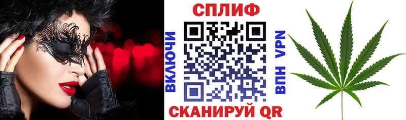 Шишки марихуана Amnesia  ОМГ ОМГ ONION  Чадан  сколько стоит 